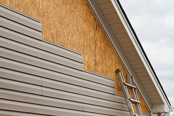 Professional Siding Inspection technician working in Lewisville, TX